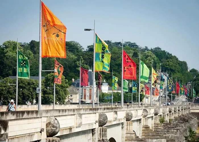 アパート Le Grand Michelet Centre De トゥール